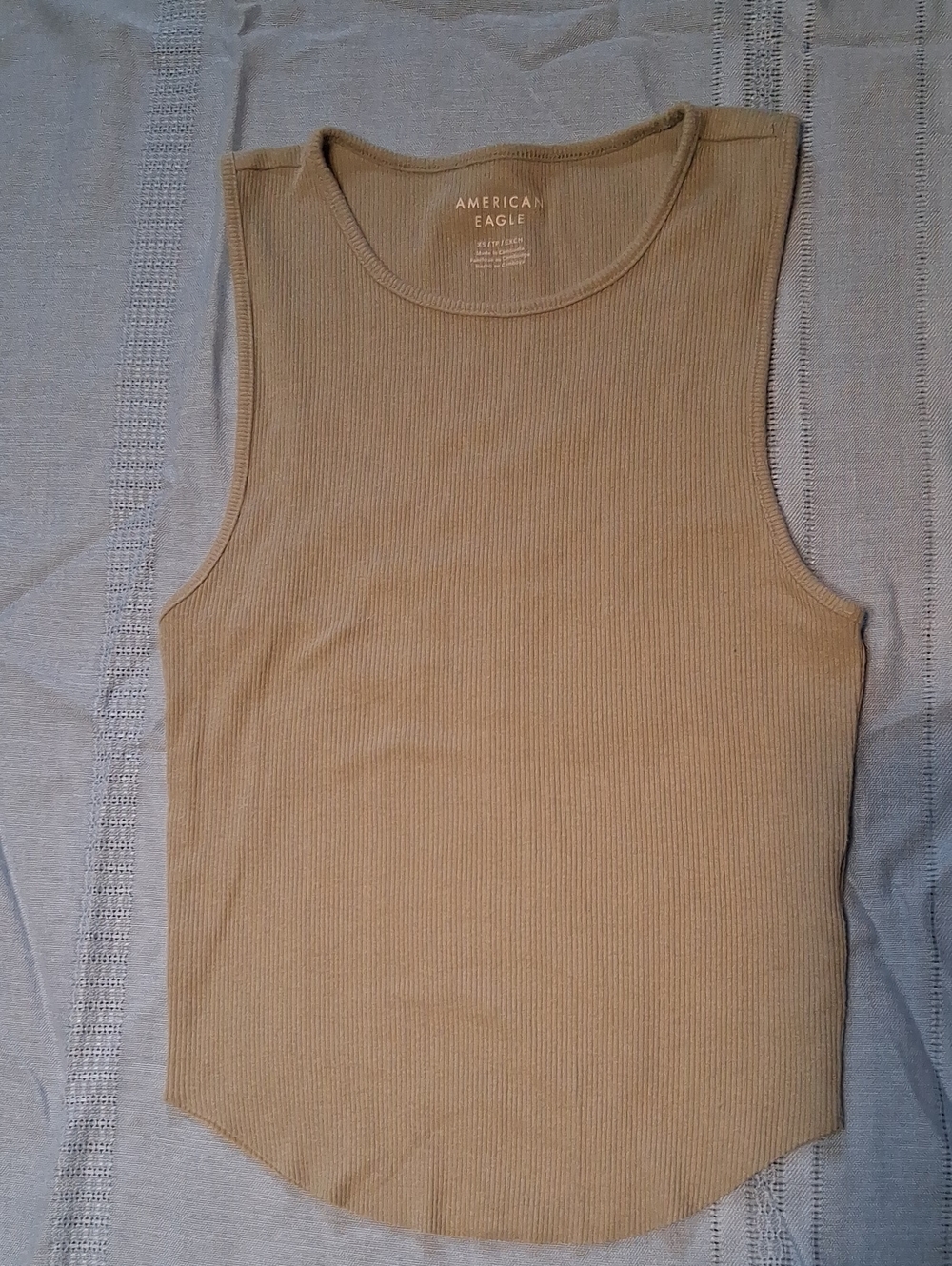 American Eagle Outfitters Ribbed Cropped Tank Top in Tan